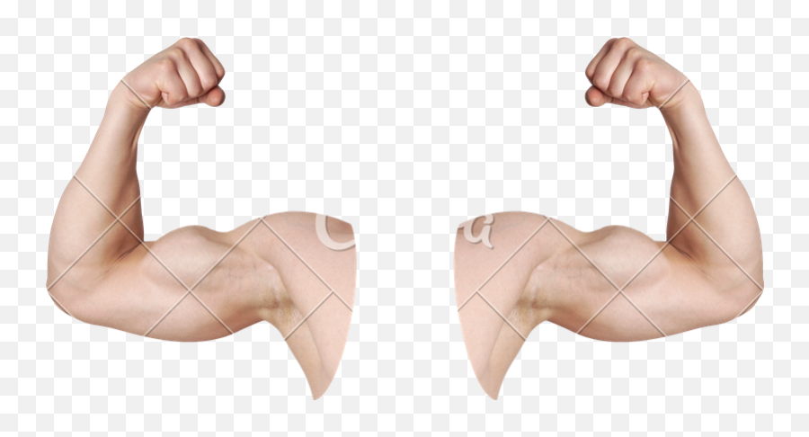 Muscle Emoji Png - Flexing Arms Png,Flex Emoji