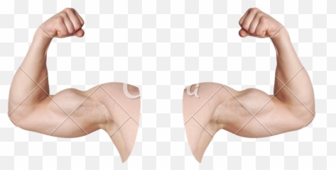 Muscle Emoji Png - Flexing Arms Png,Flex Emoji