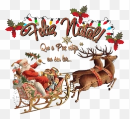 Recados Animados De Feliz Natal - Santa Merry Christmas Wishes Gif Emoji,Emoticons Que Mexem