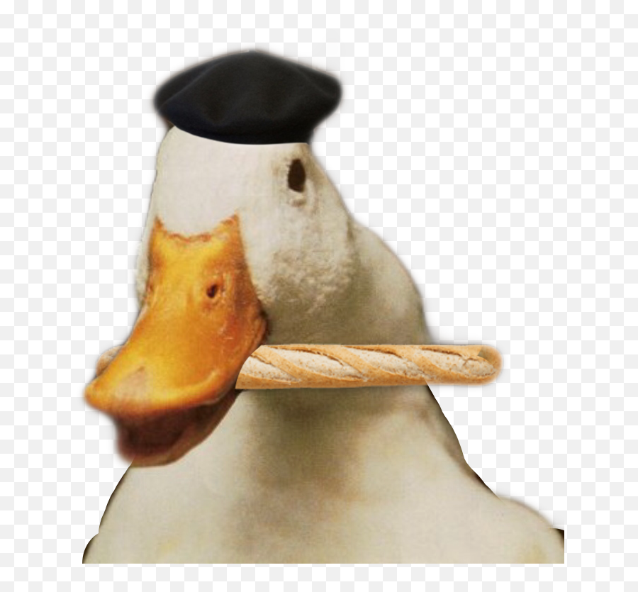 Quack Duck French Sticker - Smoked Quack Emoji,Quack Emoji