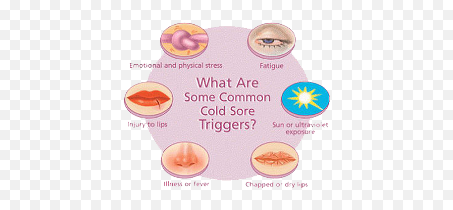 Dental General Information Dr Sabieha Pediatric Dentistry - Cold Sore On Lip Treatment Emoji,9 Types Of Muscle Tension Caused By Trapped Emotions