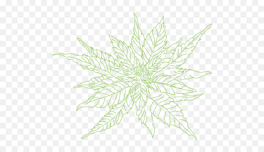 Learn More About Cannabis Flower Arizona Organix - Language Emoji,Art That Is Meant To Express Emotion Aboout Phonix Az