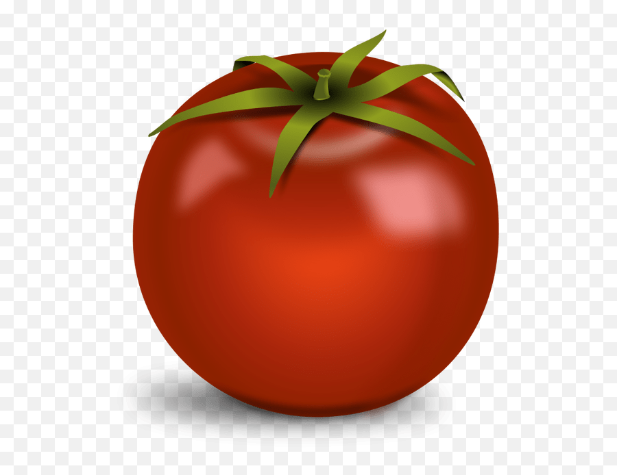 Tomato Png Download Image Png Arts - Bridge Of Palanga Emoji,Tomato Can Emoji
