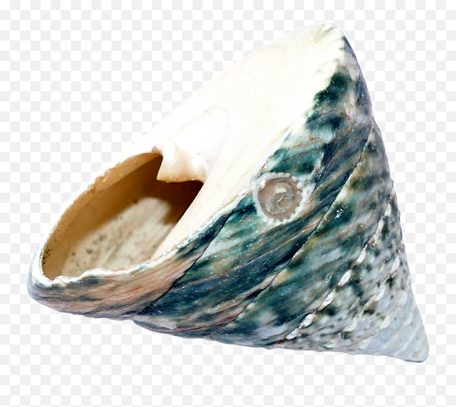 Seashell Of Blue Color In The Form Of A Pyramid Free Image Emoji,Emotions Pyimid