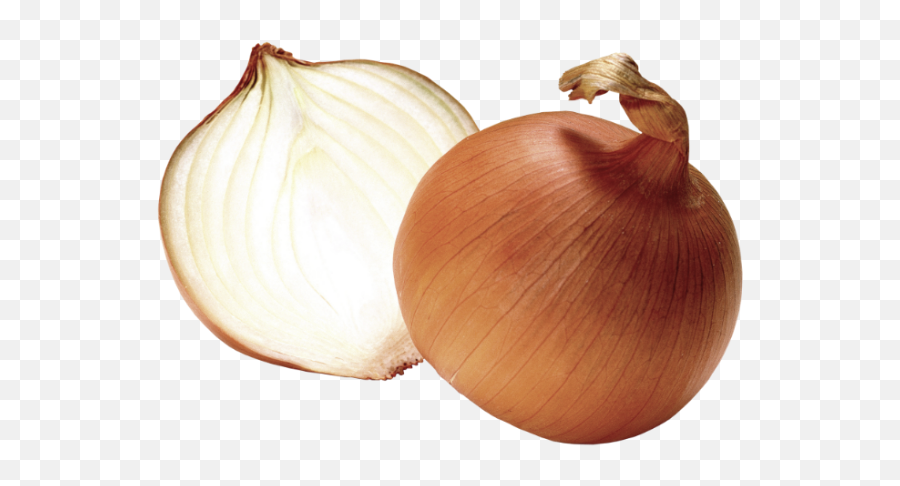 Onion Clipart Transparent Png - Onion Transparent Png Emoji,Corn And Onion Emoji