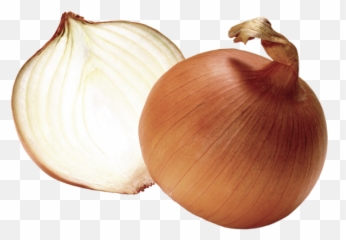 Onion Clipart Transparent Png - Onion Transparent Png Emoji,Corn And Onion Emoji