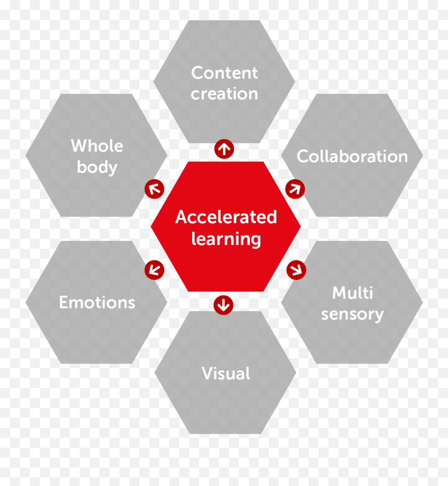 After Effects Masterclass And Adobe Certification From Certitec - Basic Benefit Package Family Medicine Emoji,Hexagon Human Emotions