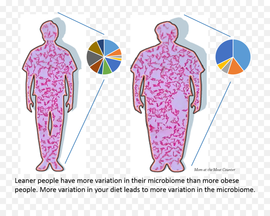 Mom At The Meat Counter 2015 - Gut Microbiota Obese Vs Lean Emoji,Emotion Face, Ffa, Ppa, Loc