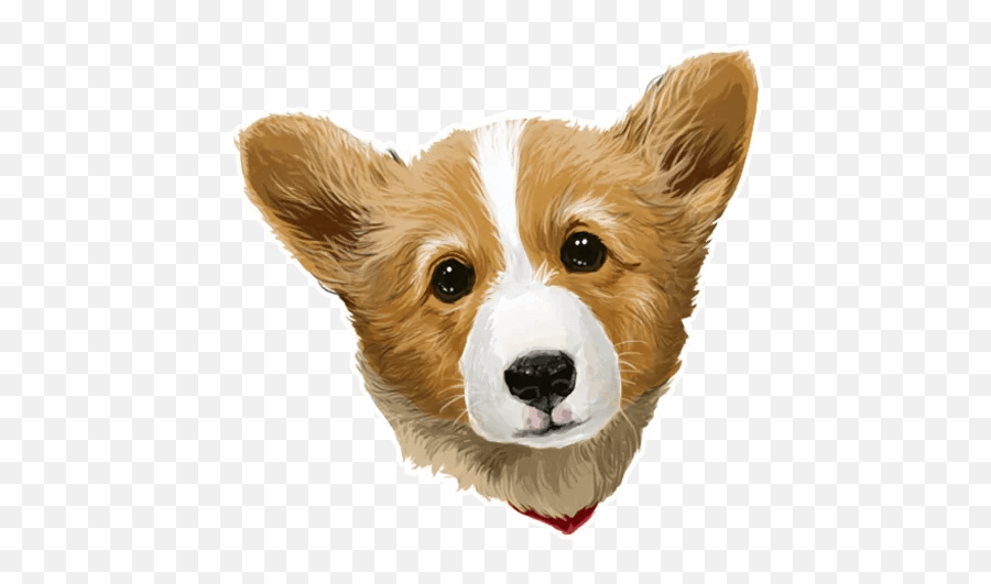 Telegram Sticker 016 Cute Corgi Sticker Emoji,Dog Pant Emoticon