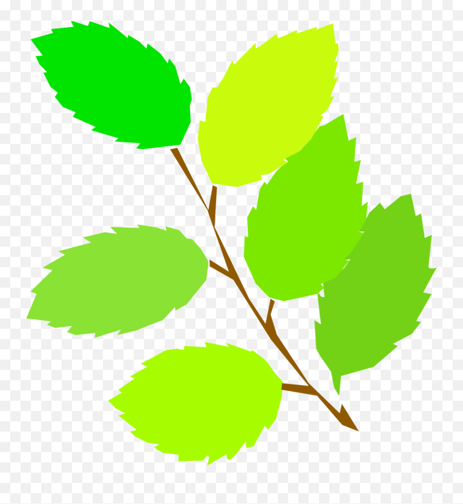Free Leaves Cliparts Download Free Clip Art Free Clip Art - Spring Clip Art Emoji,Snowflake Sun Leaf Leaf Emoji