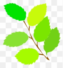 Free Leaves Cliparts Download Free Clip Art Free Clip Art - Spring Clip Art Emoji,Snowflake Sun Leaf Leaf Emoji