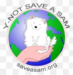 Y - Not Save A Sam Emoji,Can U Find The Crazy Korean Emoticons