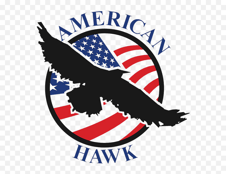 Music American Hawk - American Emoji,Free Emotion Aerosmith