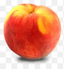 Most Viewed Peach Wallpapers - Peach Transparent Background Free Emoji,4k Peach Emoji