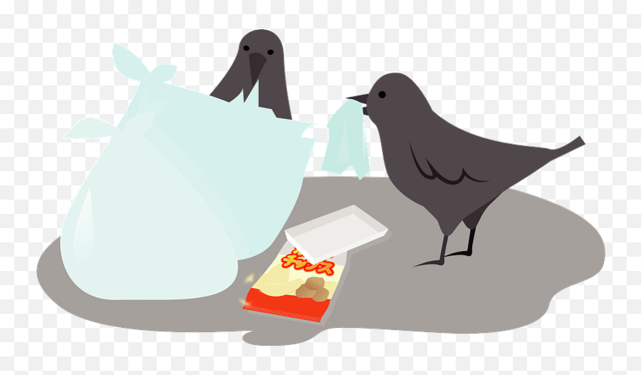 Crow Eat Garbage Clipart - Old World Flycatchers Emoji,Crow Emoji
