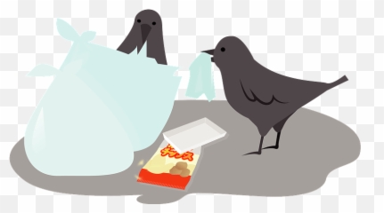 Crow Eat Garbage Clipart - Old World Flycatchers Emoji,Crow Emoji
