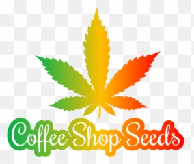 Weed Seeds Medicinal Cbd U0026 Cannabis Seeds Delivered Across - Hemp Emoji,Weed Emoticon Reggae Transparent