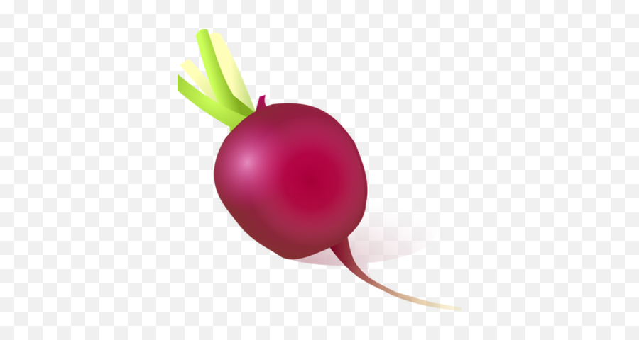 Vegetable Daikon Onion Eating Turnip - Radish Cartoon Images Png Emoji,Corn And Onion Emoji