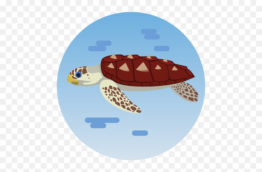 Sea Animal Turtle Free Icon Of - Hawksbill Sea Turtle Emoji,Sea Turtle Emoticon