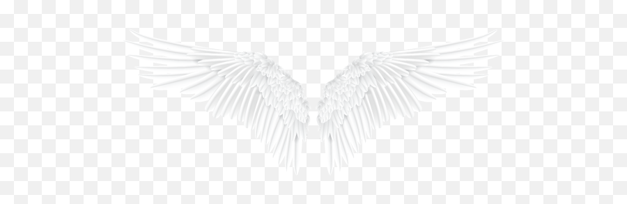 Angel Communication Program - Angel Wings Emoji,Angel Emotion In Black