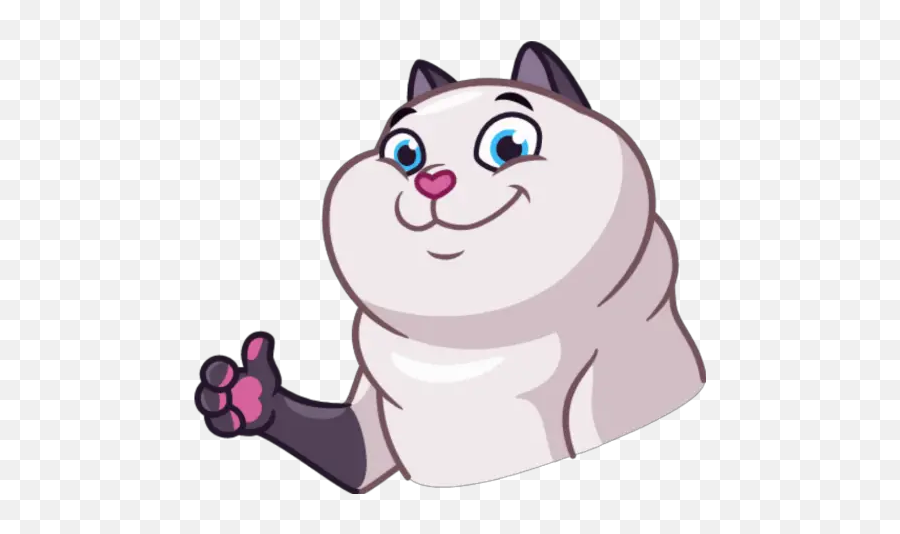 Sr Gato Stickers For Whatsapp Emoji,Emojis De Gatitos