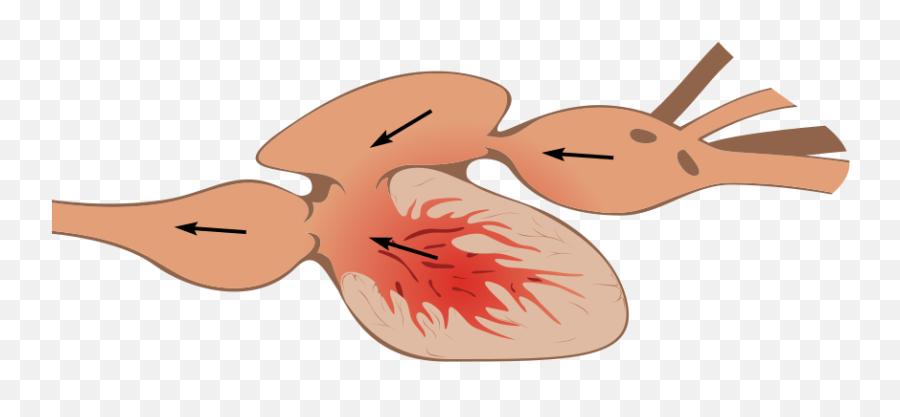 Heart Wiki Thereaderwiki Emoji,Heart Emoticons S3