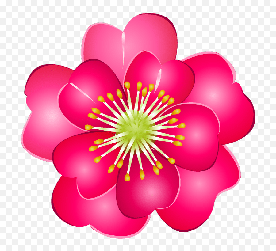 Sasanqua Flower Illustration Material - Lots Of Free Emoji,Flower Emoji