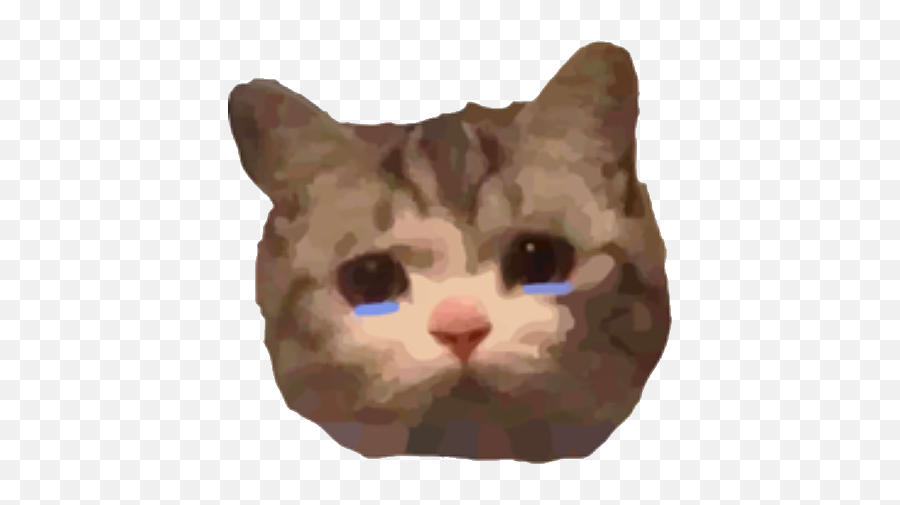 Team Cat Team Cat Overwatch Roster Matches Statistics Emoji,Catterpillar Emoji Team Cat Team Cat Overwatch Roster Matches Statistics Emoji,Catterpillar Emoji