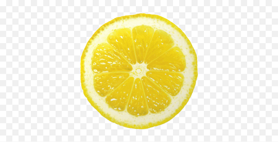 Top Lemon Tree Stickers For Android - Lemon Gif No Background Emoji,Lemon Emoji