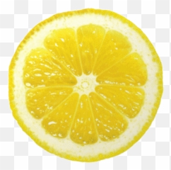 Top Lemon Tree Stickers For Android - Lemon Gif No Background Emoji,Lemon Emoji