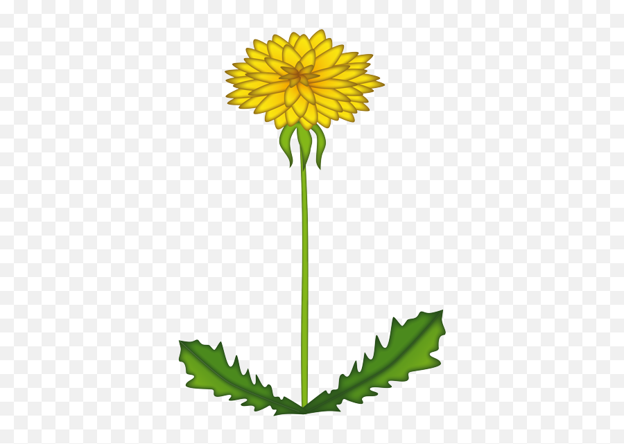 Dandelion Emoji,Guess My Age By Emojis