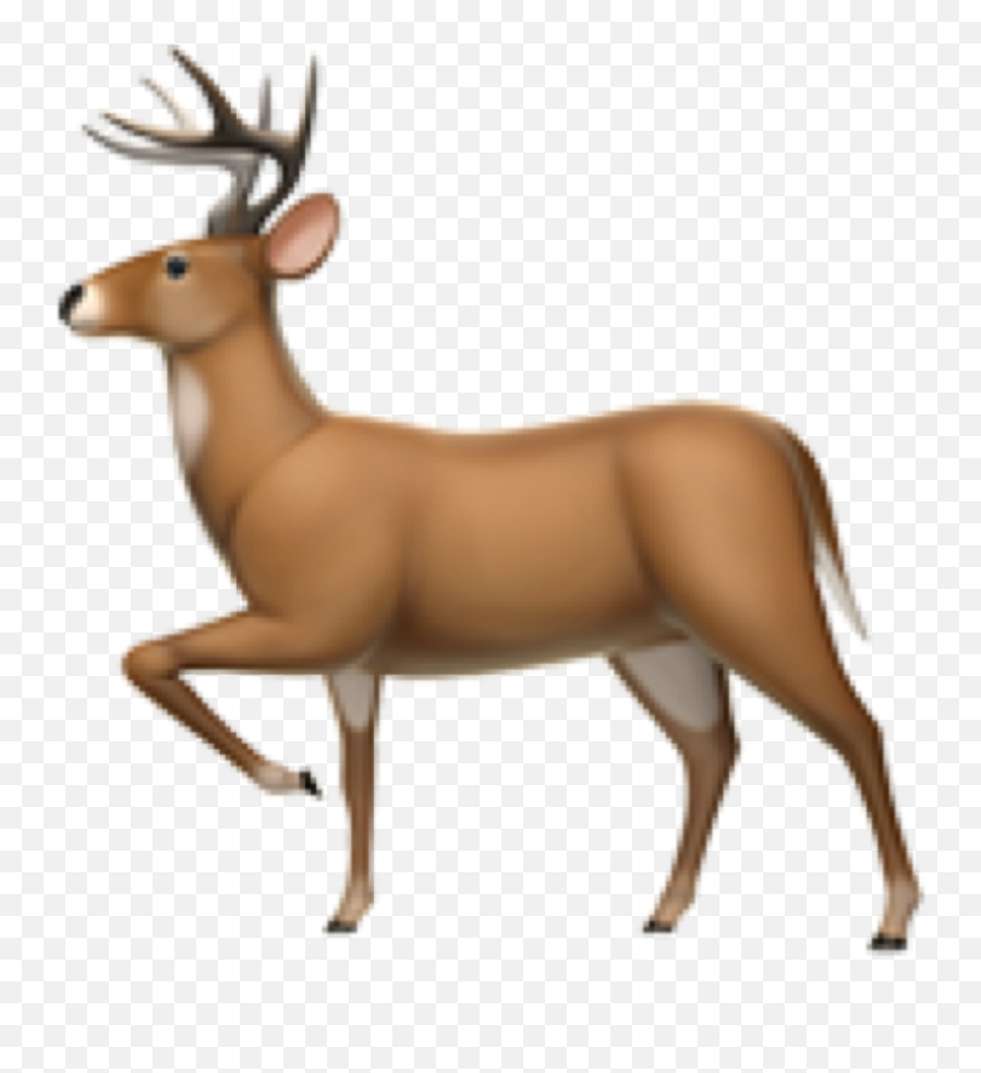 Snelste Deer Emoji Iphone,Emojis Gone Wild