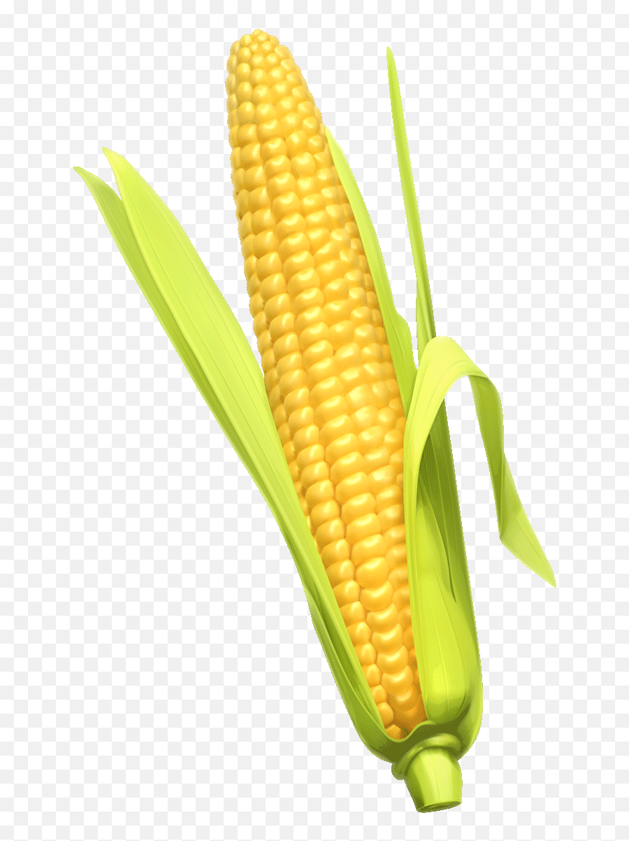 Corn On The Cob Corn Whiskey Cornbread Maize Clip Art - Corn Emoji,Twitter Corn Emoji