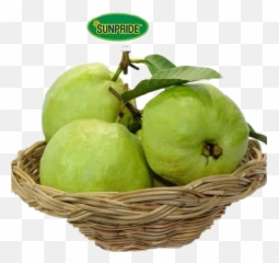 Guava Sticker - Fitness Nutrition Emoji,Guava Emoji
