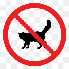 Animals U2013 Petsoholic - No To Meat Icon Emoji,Cockatiel Emotions