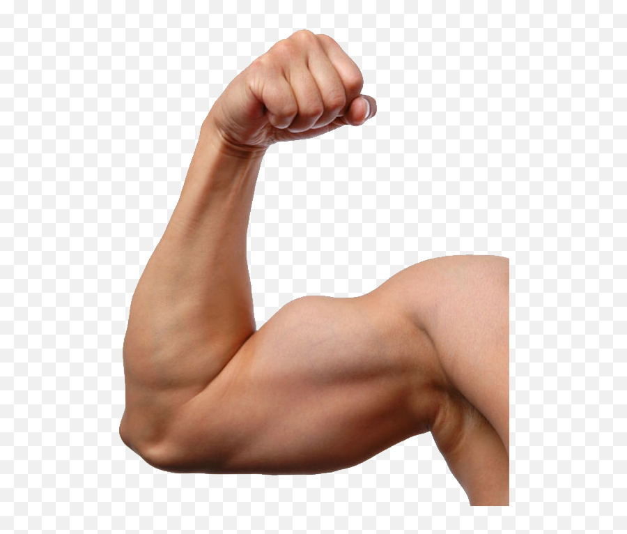 Spierbal Emoji Muscle Flex Png - Transparent Background Arms Png,Flex Emoji