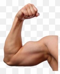 Spierbal Emoji Muscle Flex Png - Transparent Background Arms Png,Flex Emoji