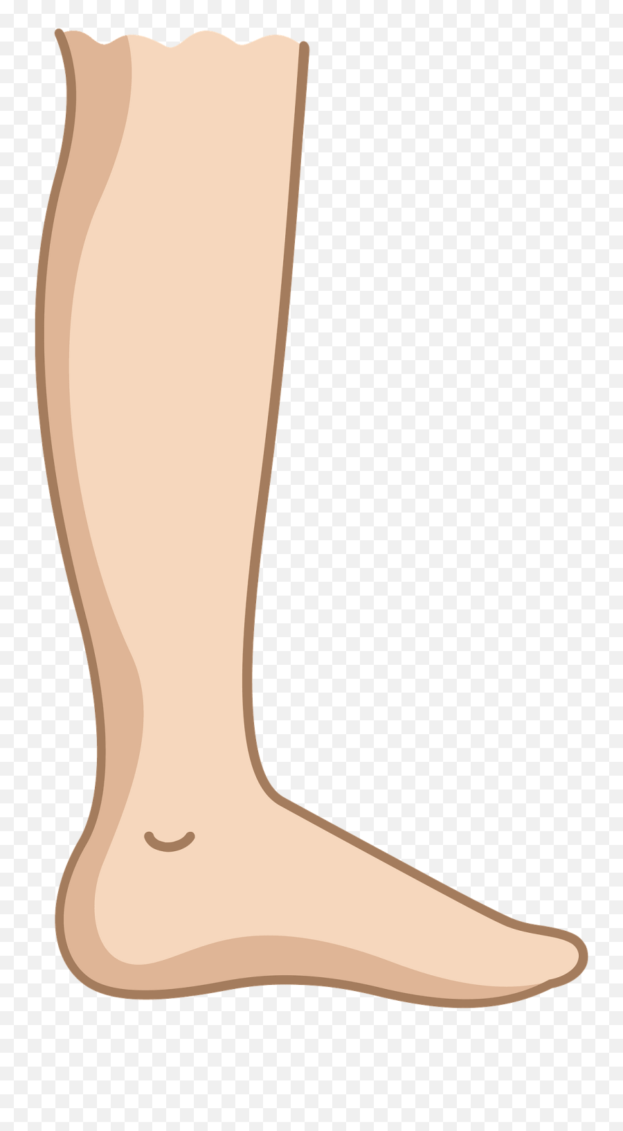 Leg Clipart Free Download Transparent Png Creazilla - Clipart Image Of Leg Emoji,Legs Emoji