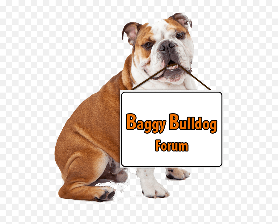 Interdigital Cysts Baggy Bulldogs - Mini English Bulldog Emoji,Sweet Emotions Doggie Paw Balm