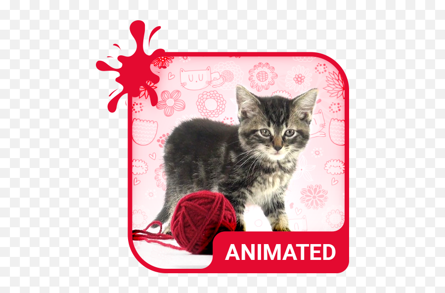 Pretty Cat Animated Keyboard Live Emoji,Emoticons Yarn