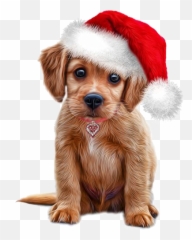 Gästebuch Von Juppi Emoji,Emotion Weihnachten Kostenlose