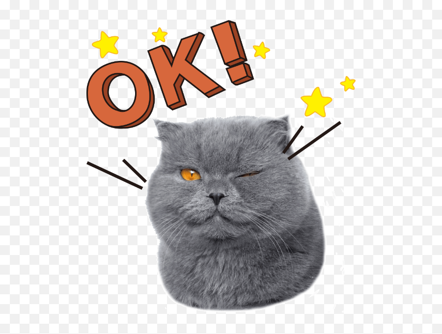 Free Online Cats Emojis Animals Emoji Vector For - Soft,Sweating Cat Emoji