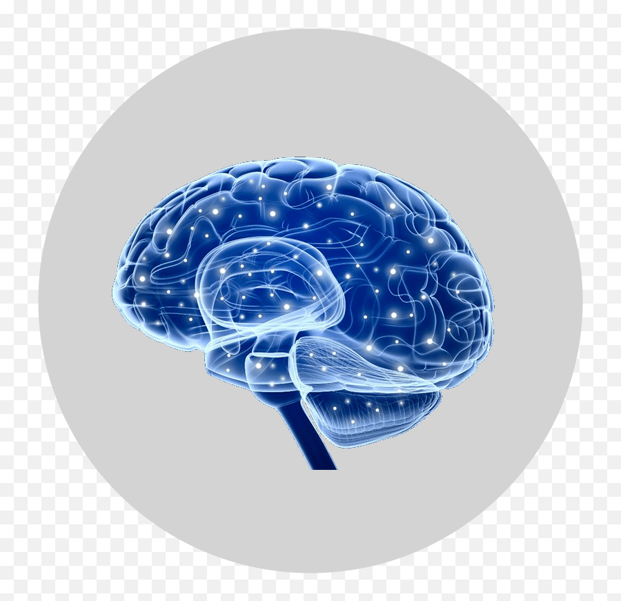 Why It Works U2013 Effectcheck - Cyberpunk 2077 Epilepsy Emoji,Brain Processing Emotions