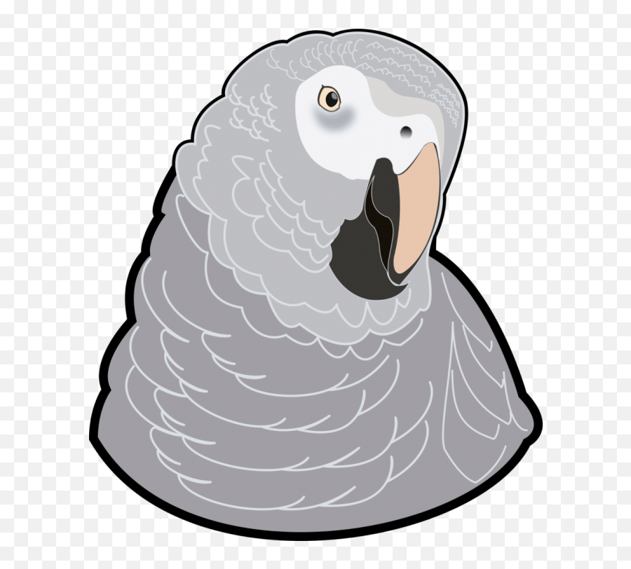 African Grey Parrots - Grey Parrot Emoji,African Grey Parrot Reading Emotions