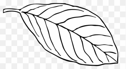 Oak Leaf Png Svg Clip Art For Web - Language Emoji,Leaf Pig Emoji