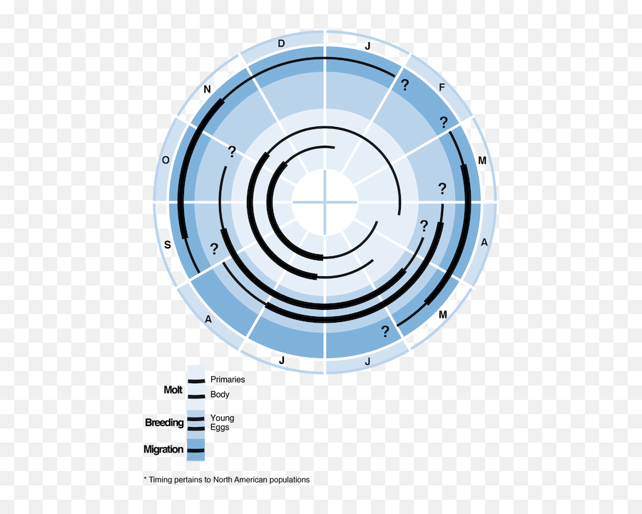 Cattle Egret - Crow Annual Cycle Diagram Emoji,Long-billed Corella Smile Emoticon