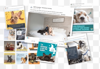 Better Marketing With Bella - Jump Consulting Emoji,Jumping Dogs Emoticon