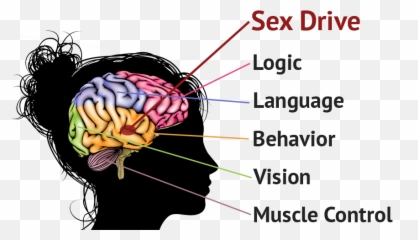 Pin - Part Of Your Brain Controls Your Sexuality Emoji,Emotions And The Brain In Men And Women