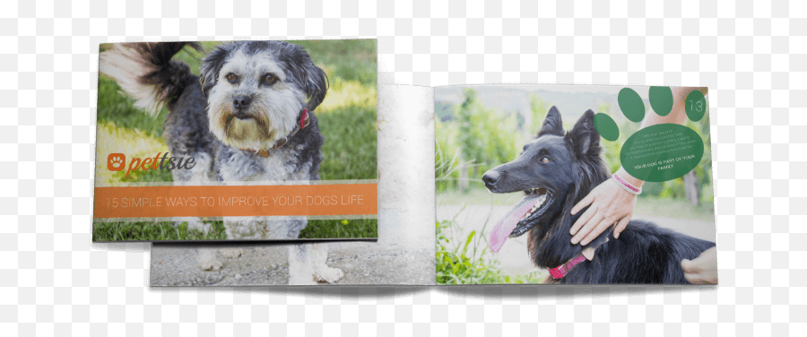 10 Ways To Tell Your Dog You Love Him U2013 Pettsie - Picture Frame Emoji,Dogs Emotions