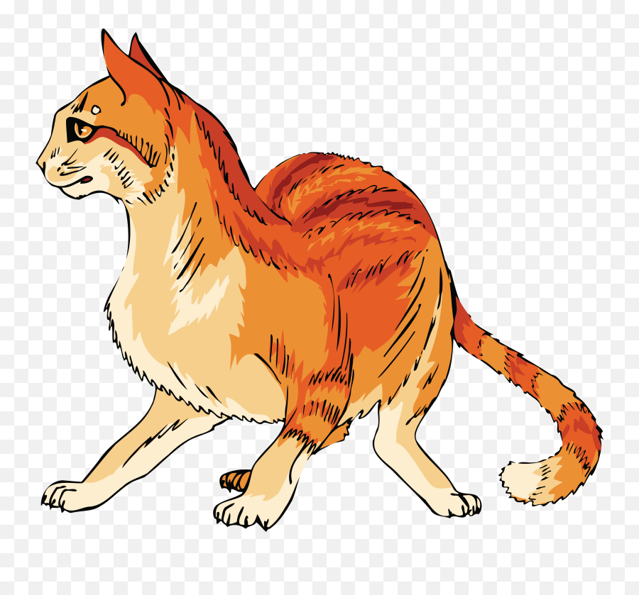 Free Cat Clipart Transparent Download Free Clip Art Free - Orange Cat Clipart Transparent Emoji,Orange Cat Emoji
